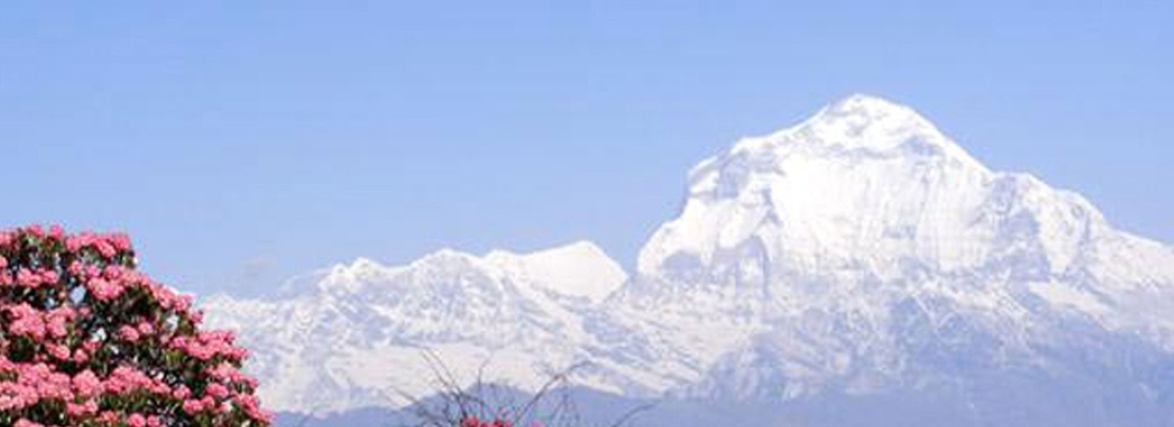 Dhaulagiri Trek