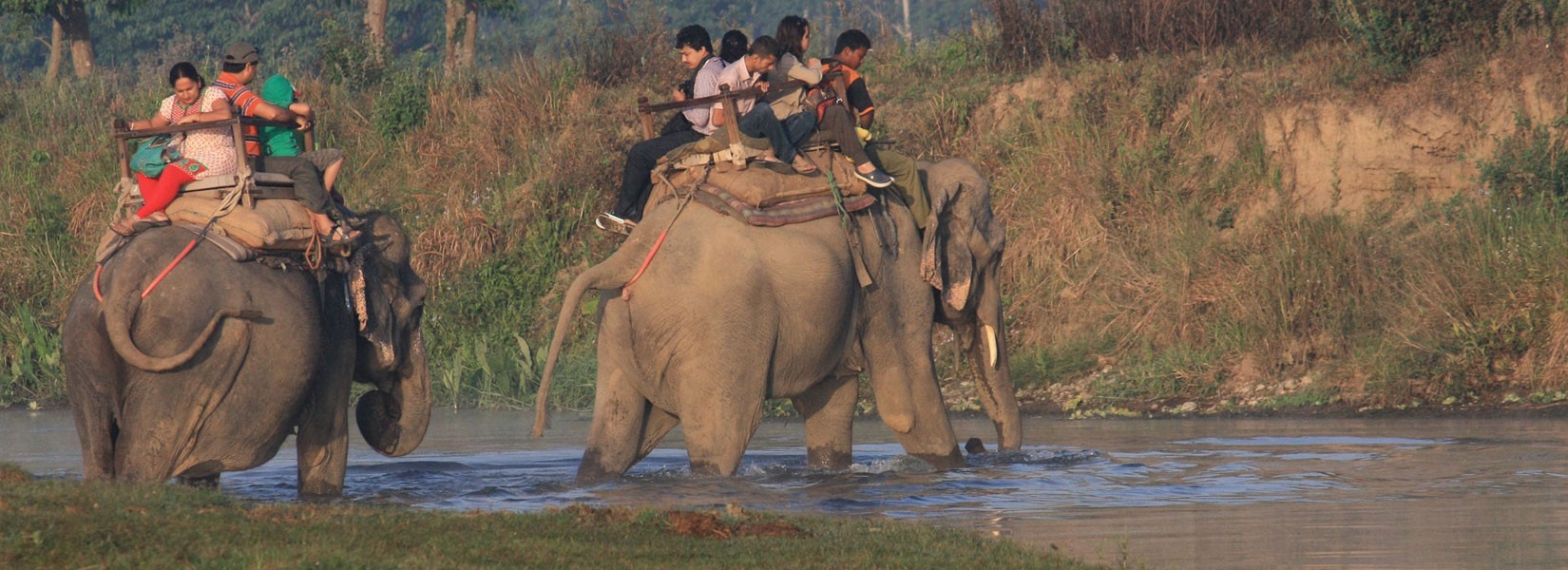 Jungle Safari in Nepal