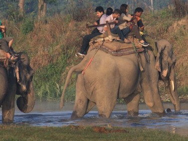 Jungle Safari in Nepal